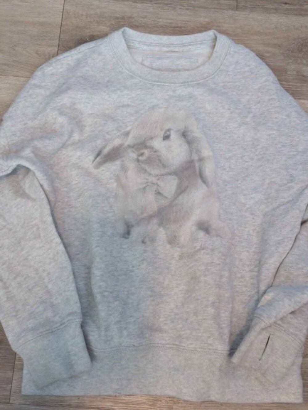 Abercrombie Kids Oversized Rabbit Graphic Sweatshirt 9/10 girls